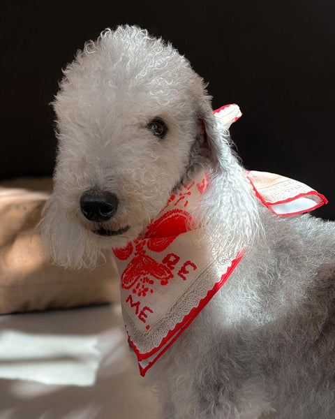 Kırmızı Lovefold Bandana - Pet + İnsan Aksesuarı