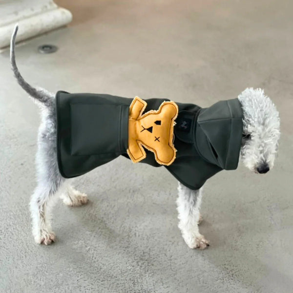 Robear El Yapımı Kedi + Köpek Oyuncağı